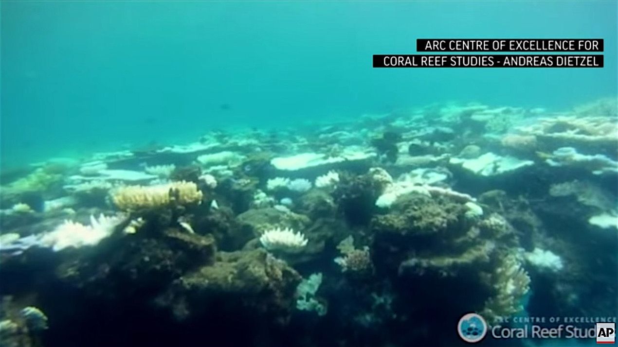 The Great Barrier Reef is getting bleached to death