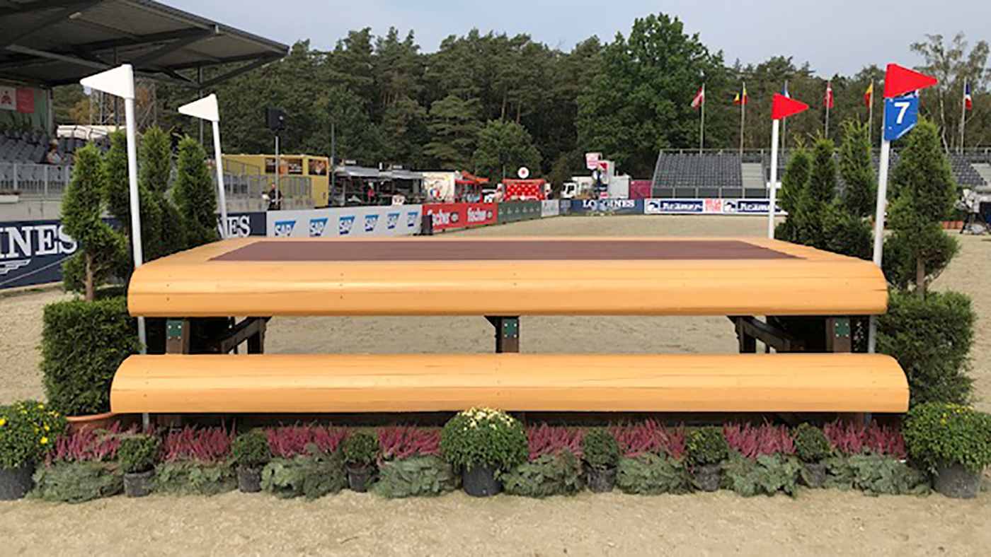 Fence 7 long European Eventing Championships 2019