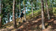 Woman walks up hill among trees