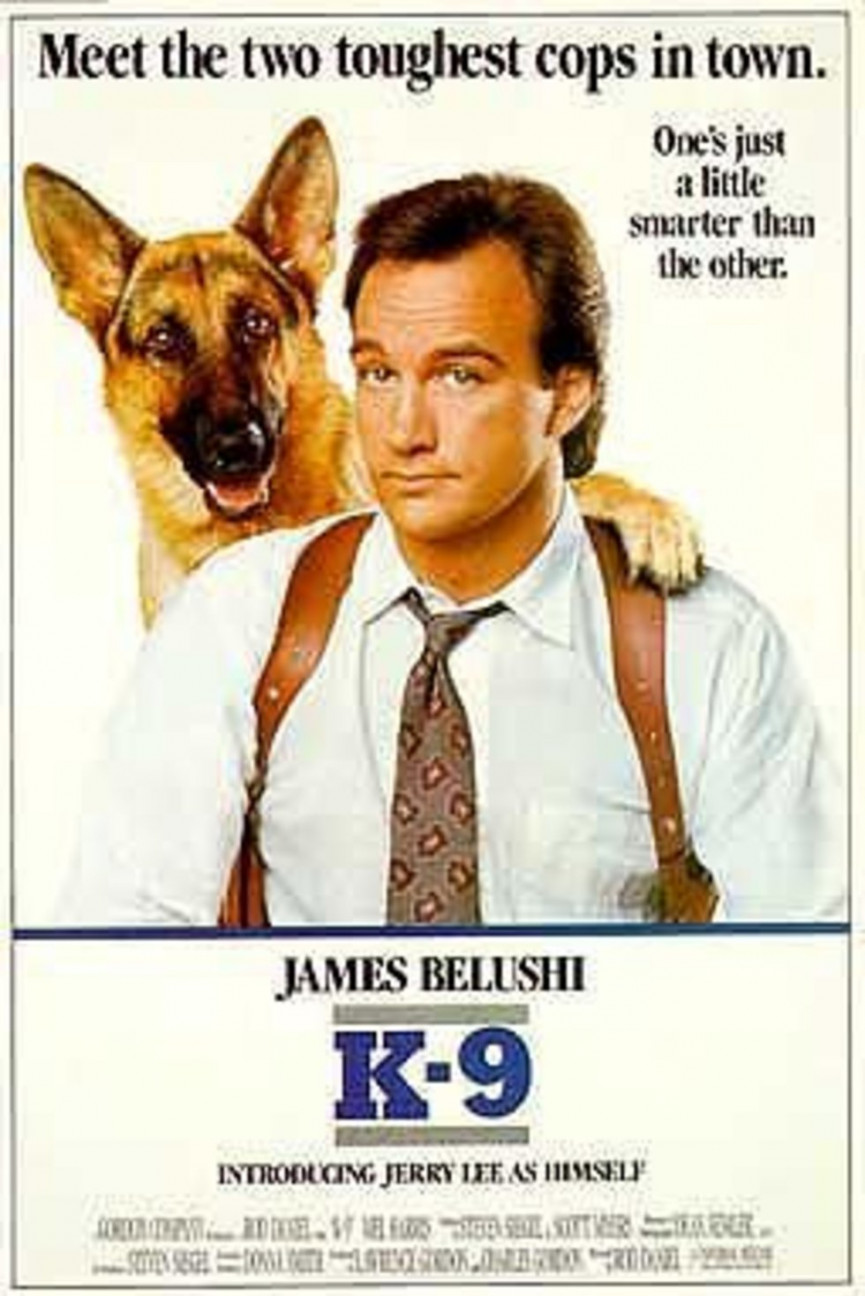 51-funniest-movie-title-translations-35-1556677682-zKoY-column-width-inline