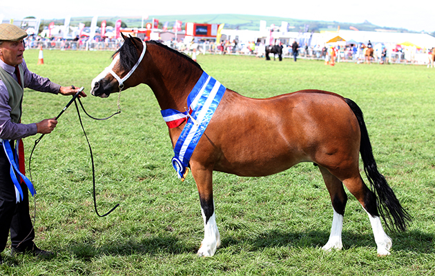 Pembrokeshire County Show 2018