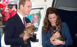 Prince William Kate Middleton Puppies