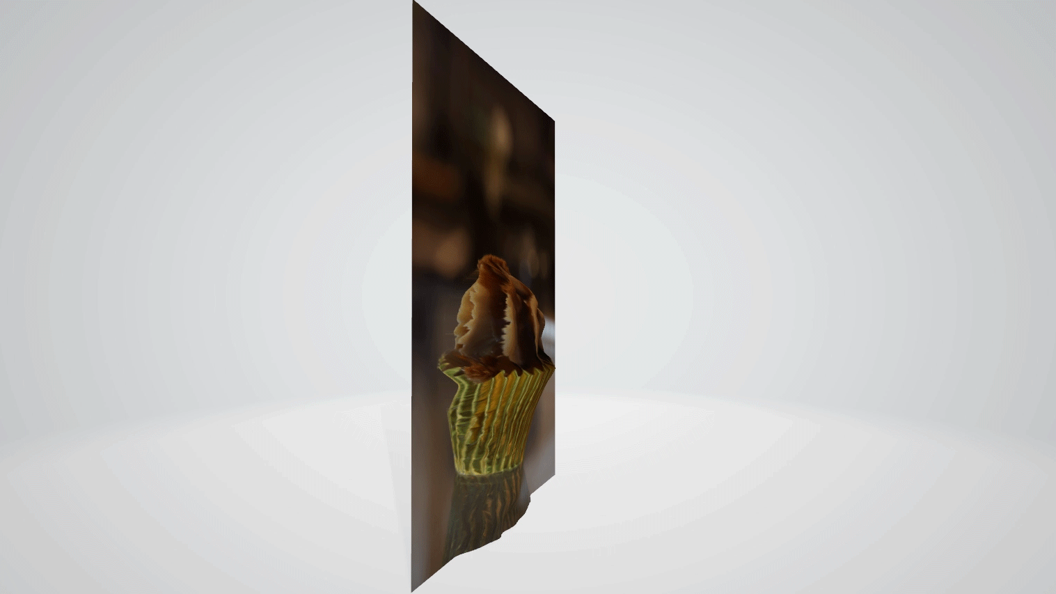 Canon DP3D 3D Cupcake GIF