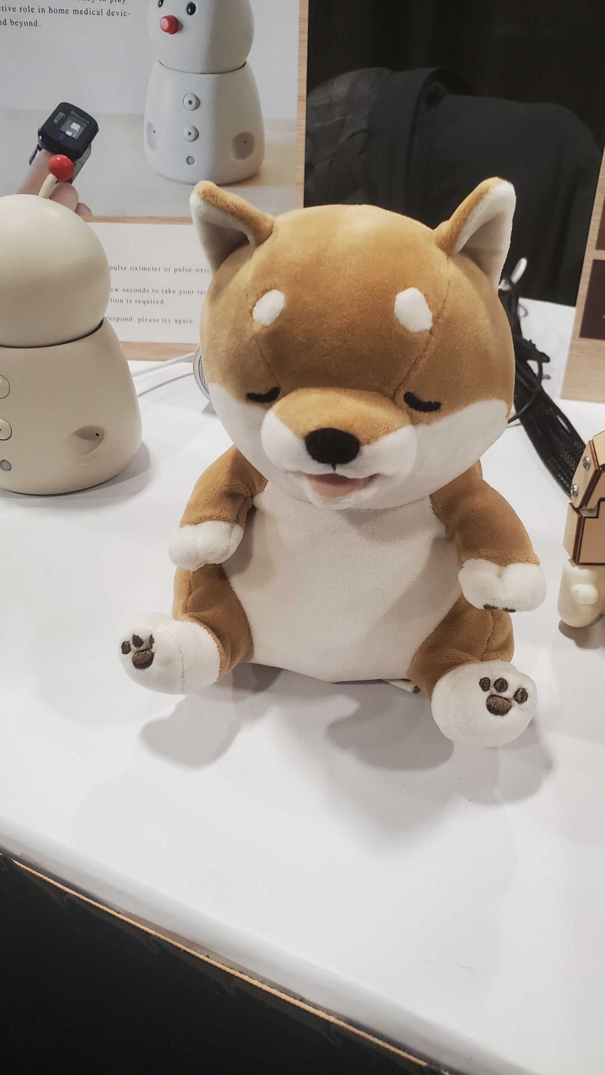 robot dog sitting on table