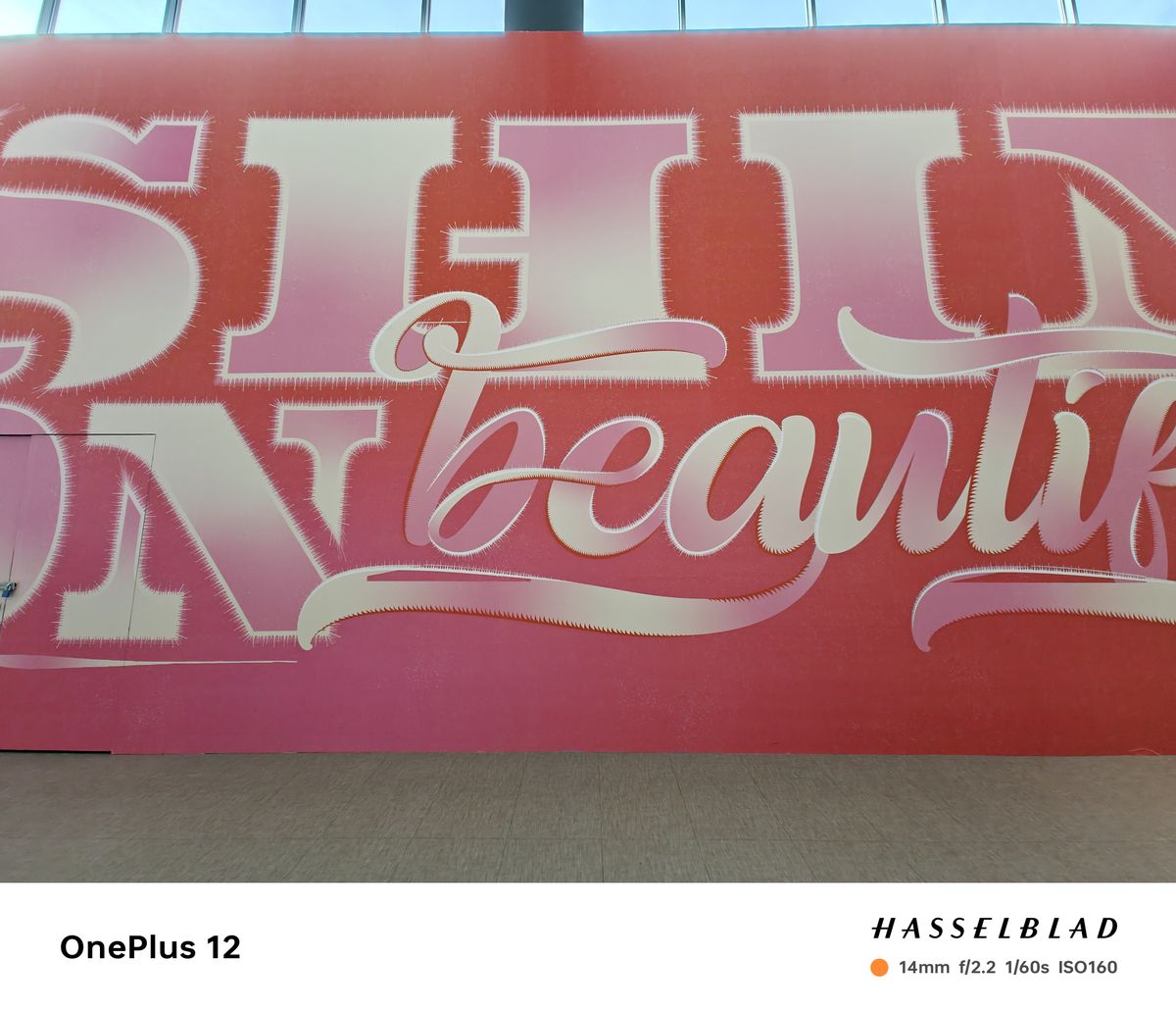 OnePlus 12 camera image samples