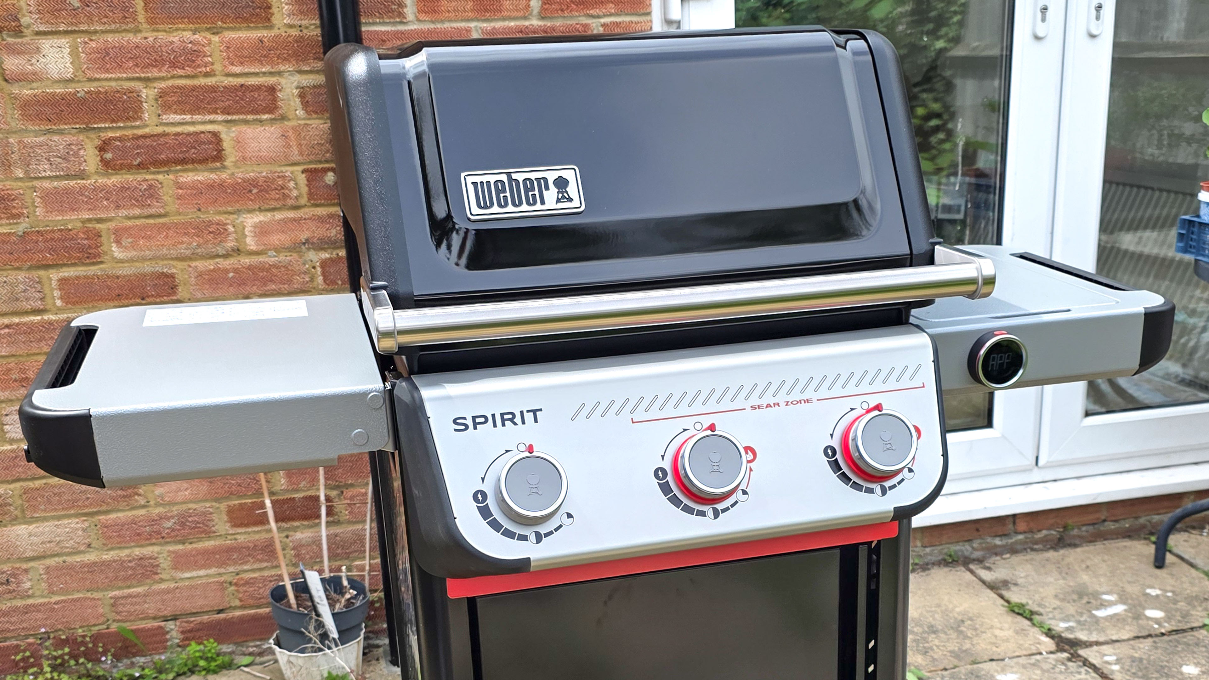 Weber Spirit EX325  grilling foods