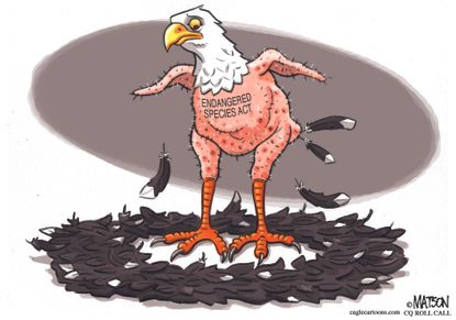Political cartoon U.S. Endangered Species Act in danger