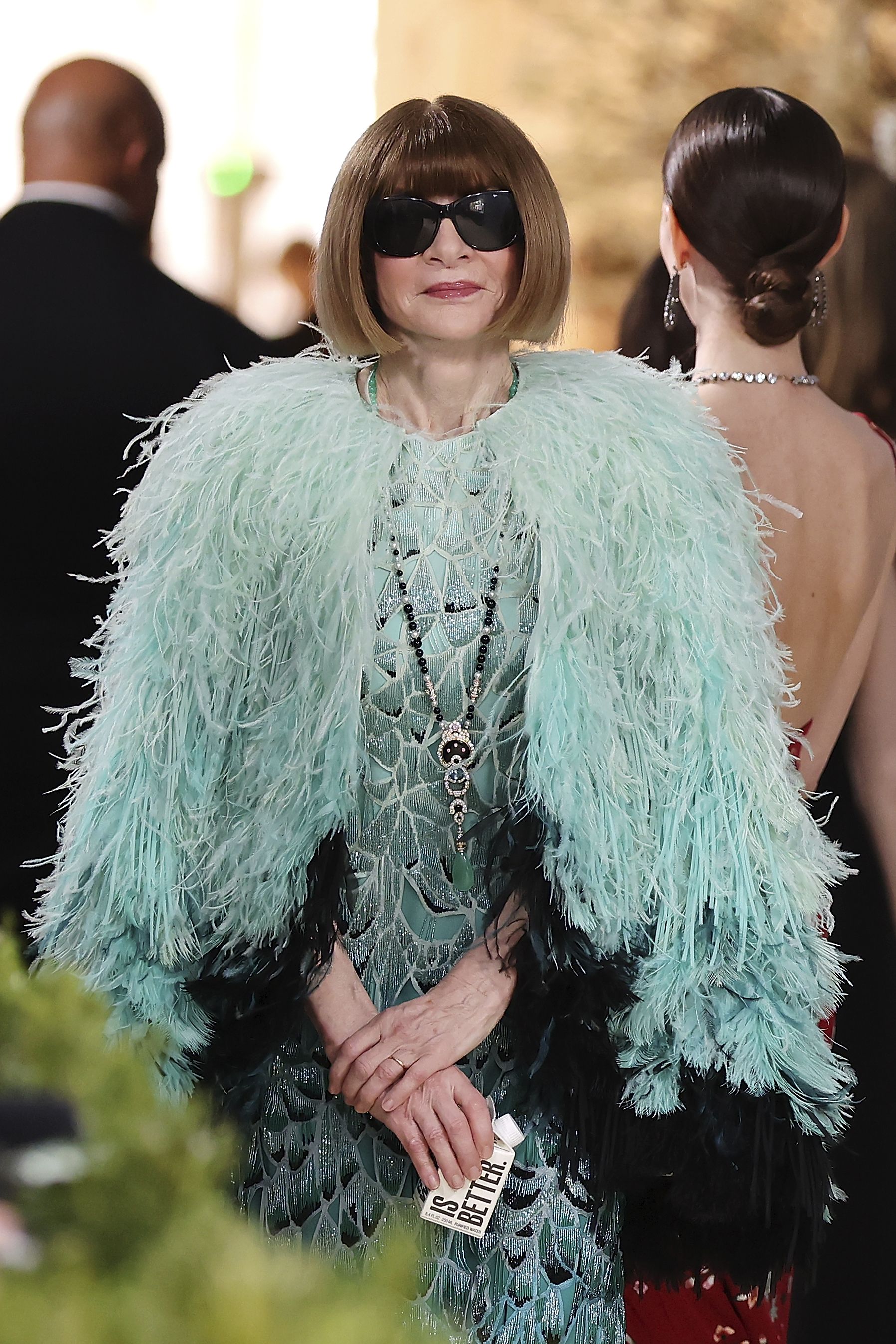 Anna Wintour arrived at the 2026 Met Gala