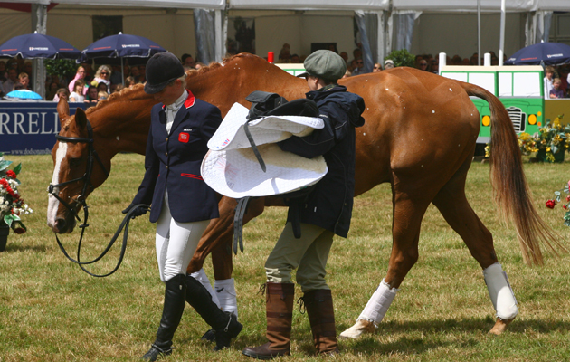 Gatcombe 07 08 2011