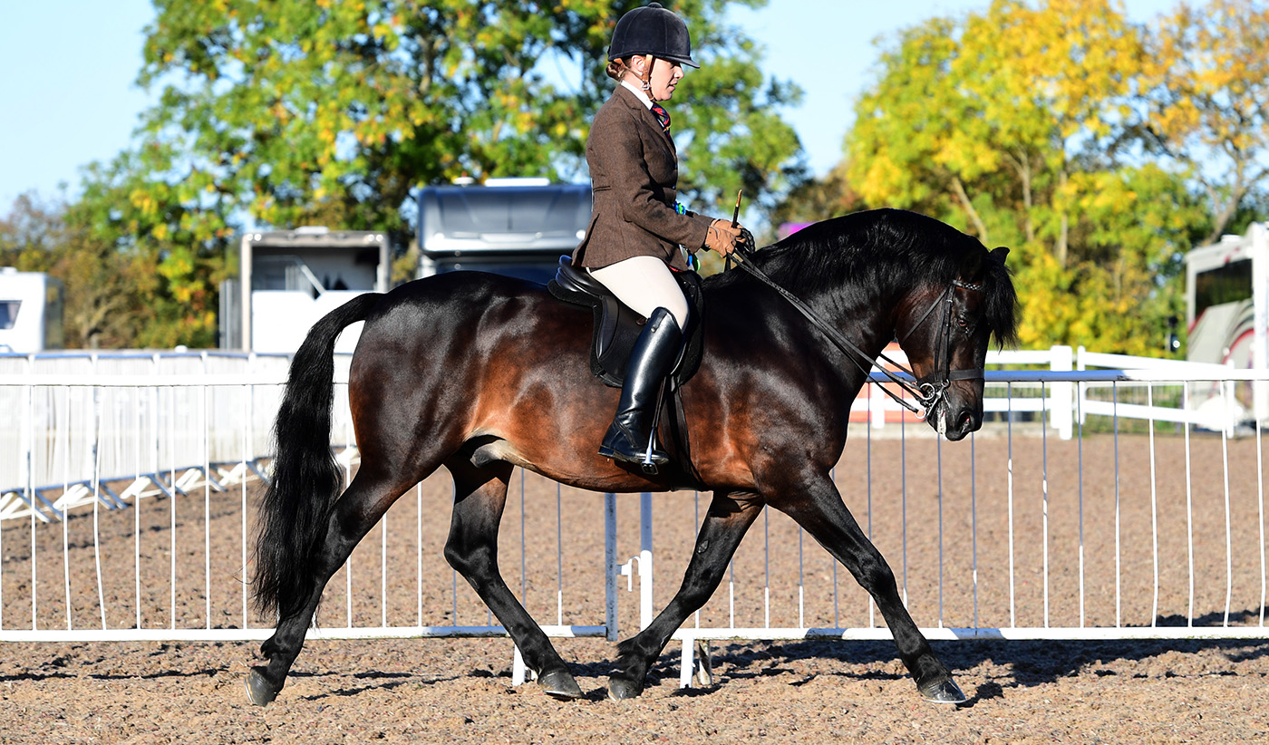 Heritage Show 16.10.2266551