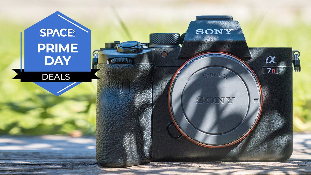  Want a last minute steal? Save $200 on this pro-level Sony A7R IV mirrorless camera as Walmart takes on Amazon 