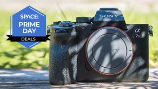 A Sony A7 R IV camera on decking near grass.