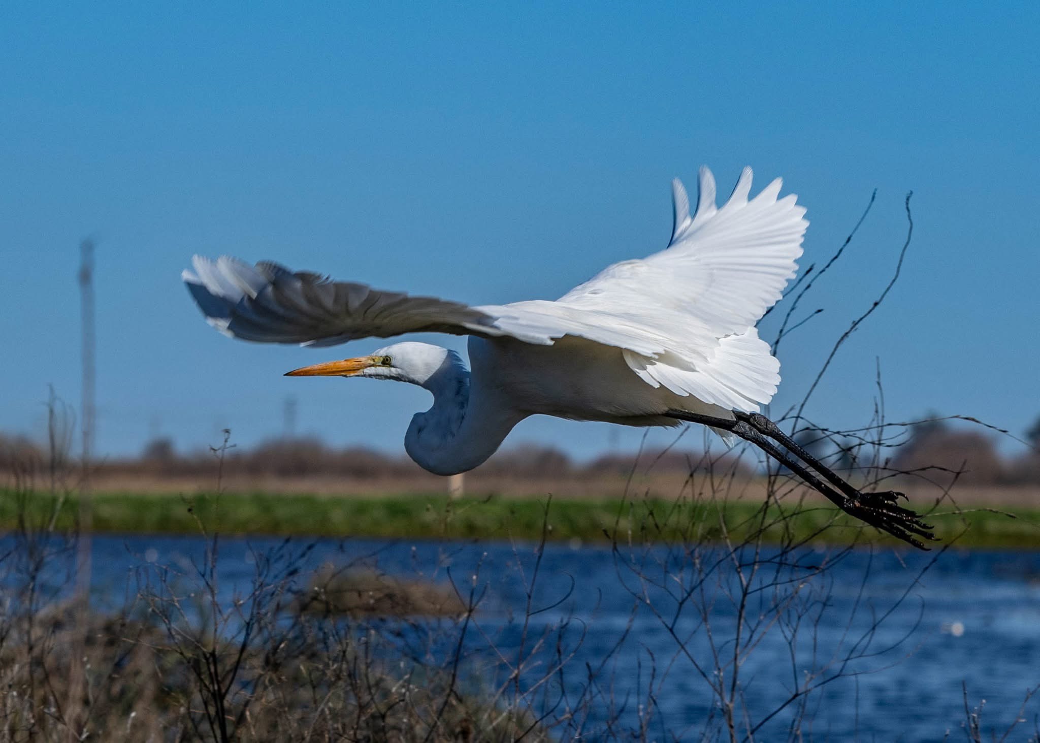 GuruShots - Nature March 2026