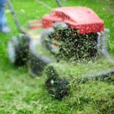 A close up of a red lawn mower mowing a lawn
