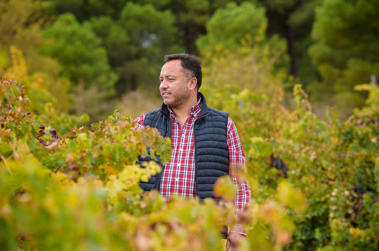 Marcelo-morales-winemaking-director-vineyard.jpg