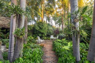 tropical garden ideas with seating surrounded by palm trees