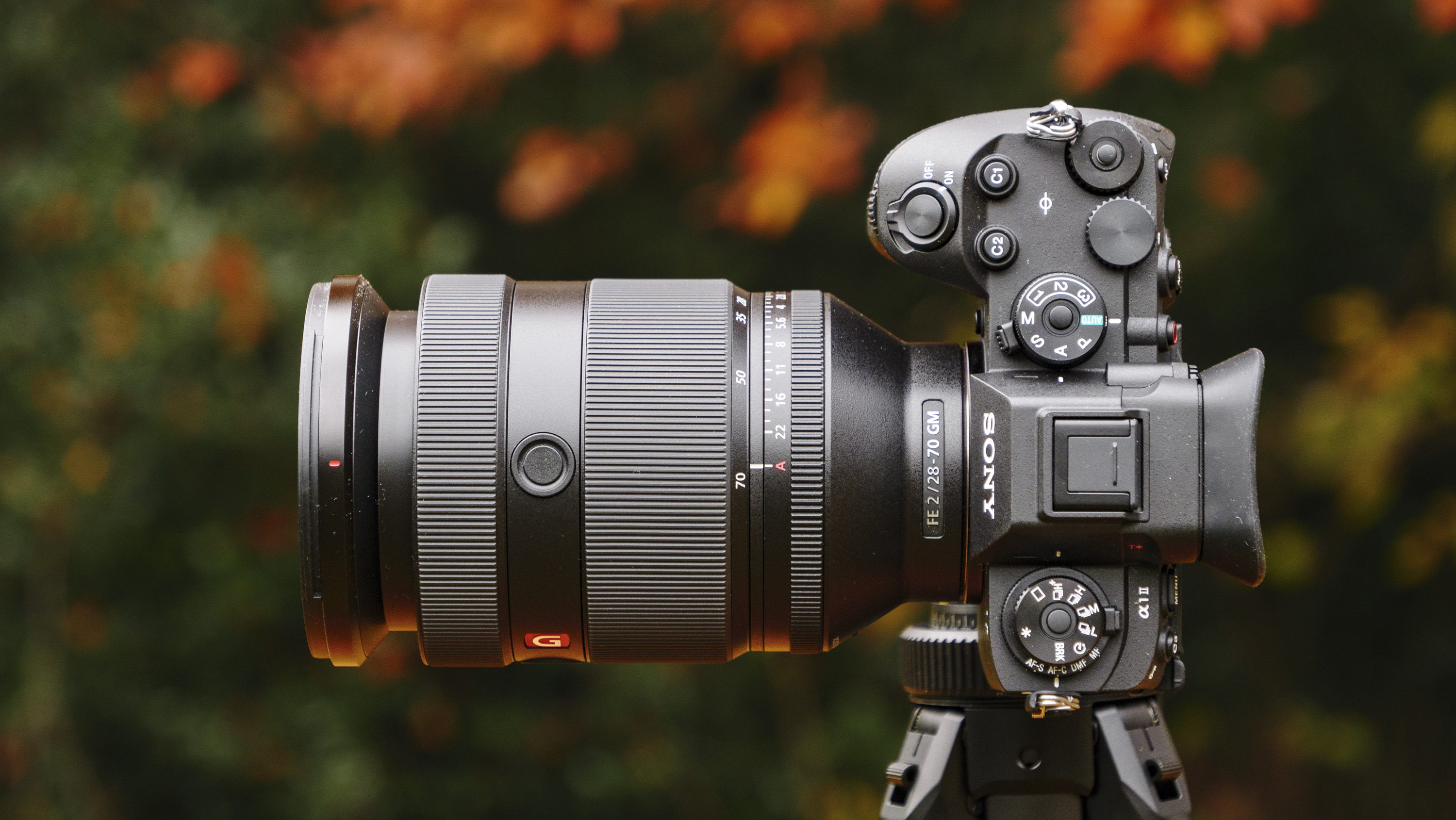 Sony FE 28-70mm F2 GM lens on a Sony A1 II mirrorless camera, outdoors on a tripod with autumn leaves background