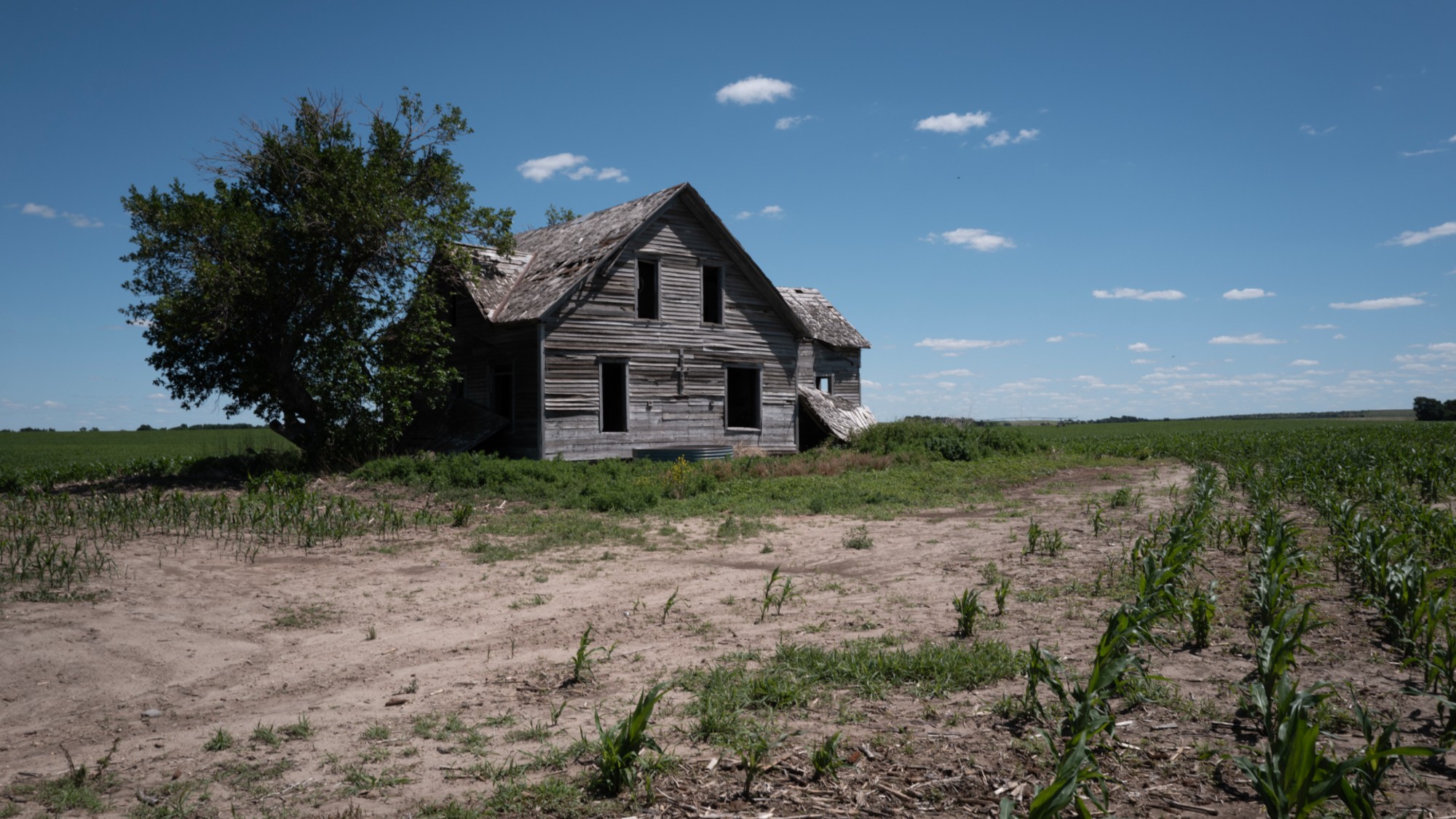 A dried-up corn field in Weissert, Nebraska.