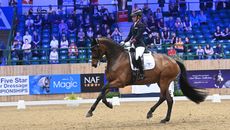 Charlotte Dujardin at the 2022 winter dressage championships on Times Kismet