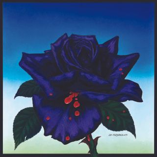 Cover for 1979's 'Black Rose'