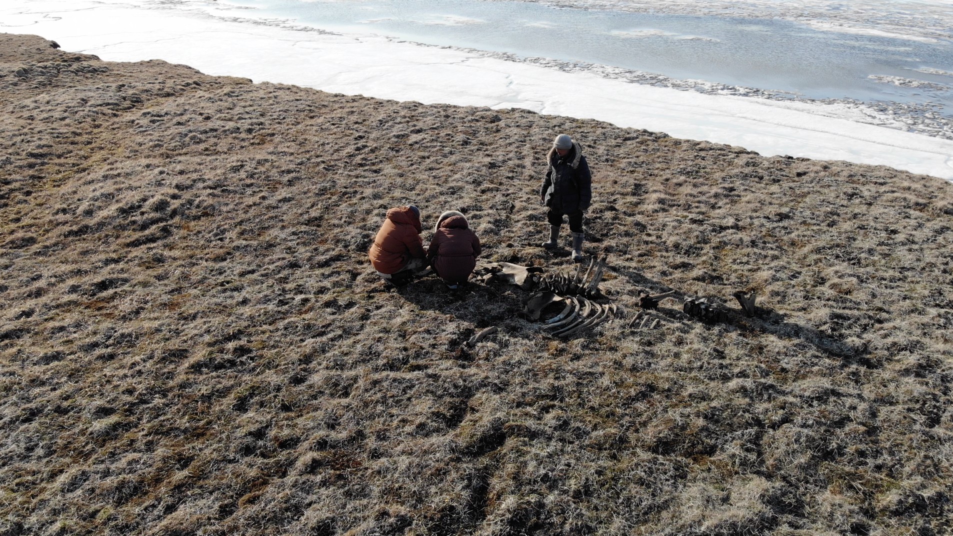 Russian expedition finds evidence of northernmost Stone Age hunters above the Arctic Circle | Tom Metcalfe | 11 days ago