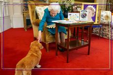 Queen Elizabeth II stroking her corgi - one of her dogs at Windsor Castle