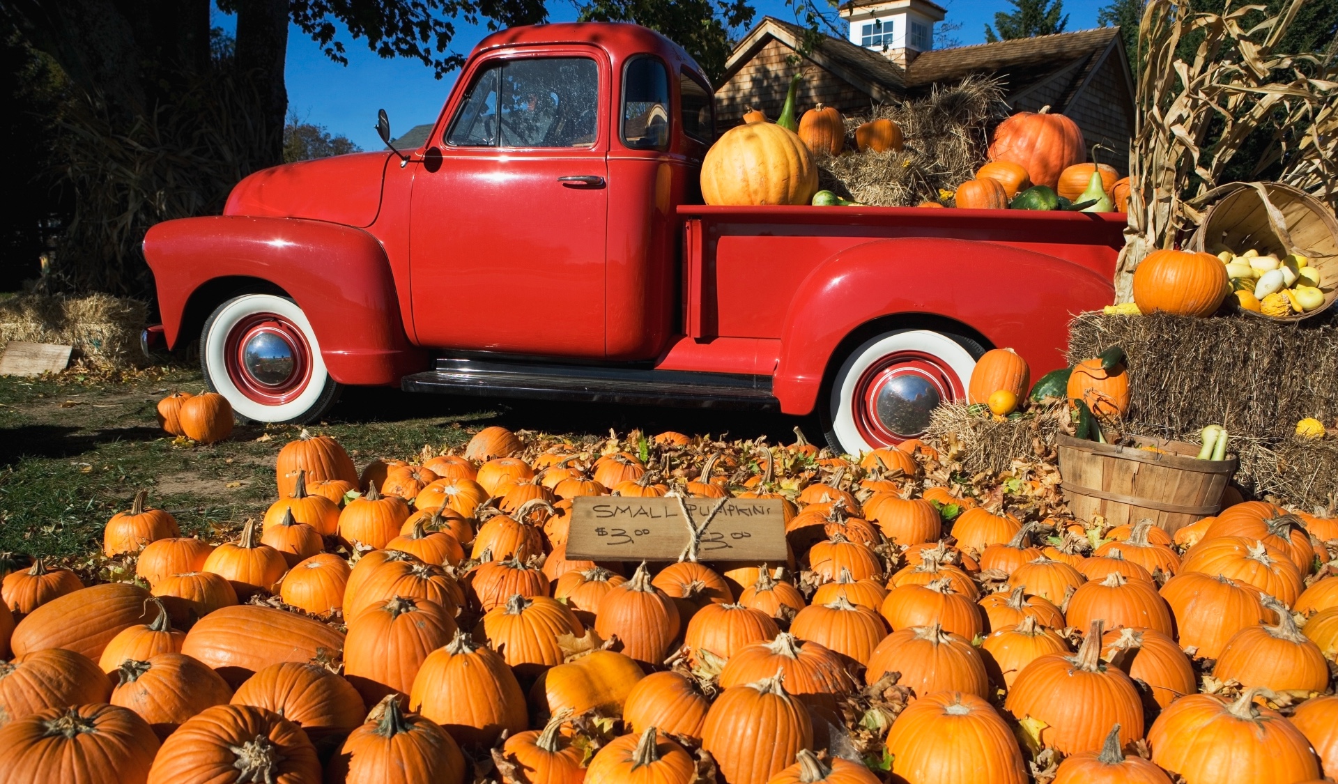 Pumpkin patches that are anything but ordinary | The Week