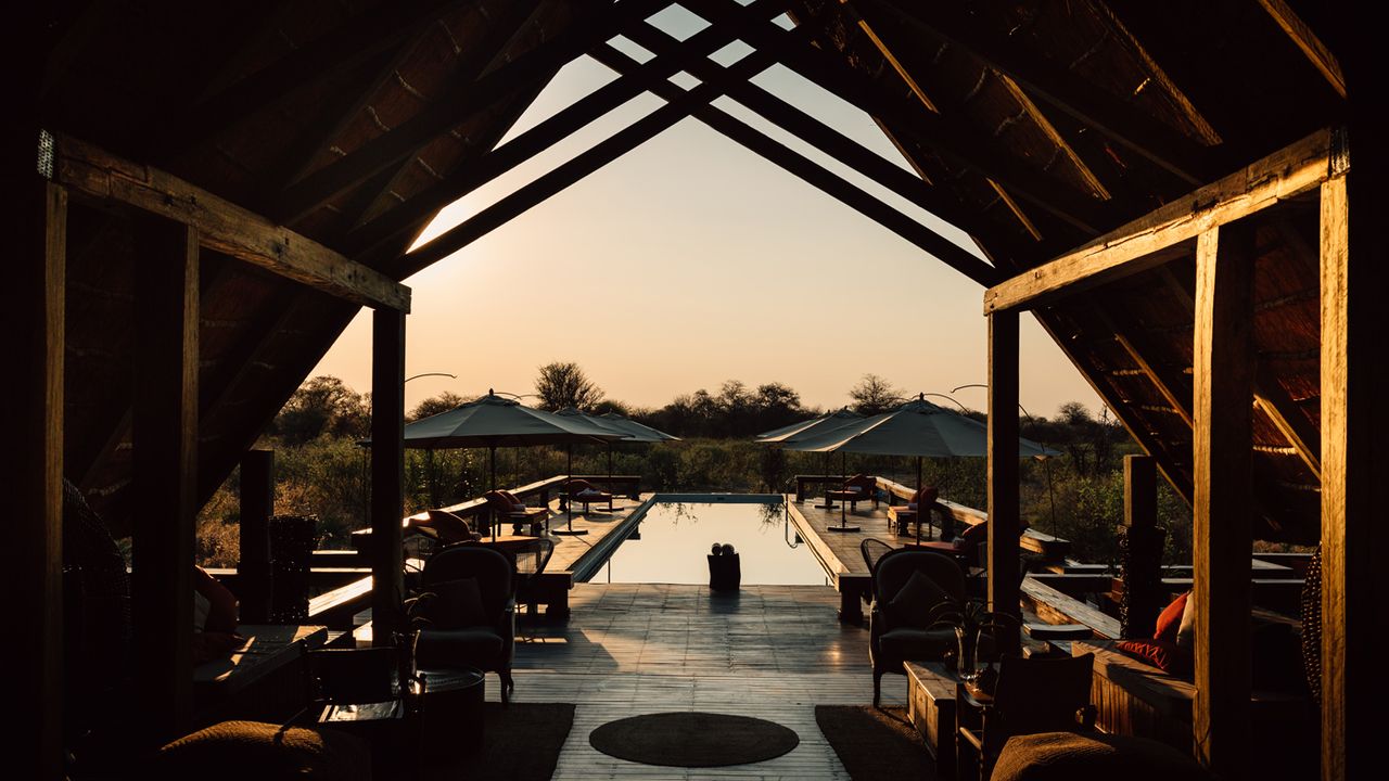 Feline Fields, Botswana
