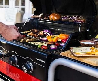 Grill with colorful vegetables in a back garden