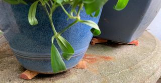 wine cork pot feet under a blue plant pot