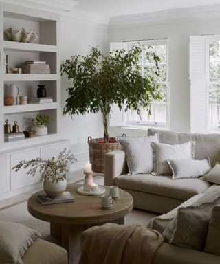 A large cloud sofa with a larg olive tree, round wooden coffee table, and full styled bookshelf