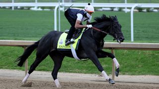 Zandon runs on the track during the morning training for the Kentucky Derby 2022 at Churchill Downs
