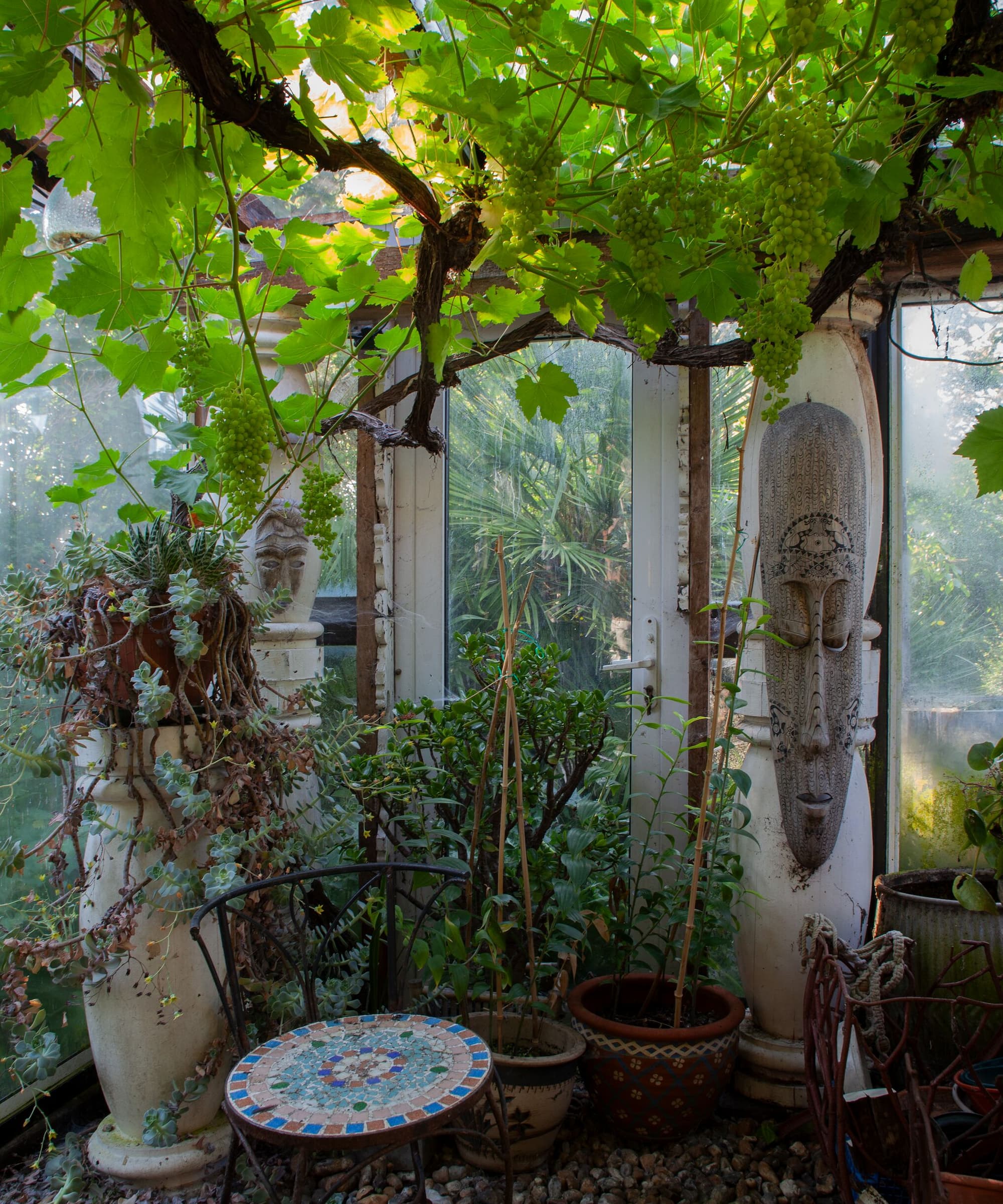 A garden room with overhanging tree