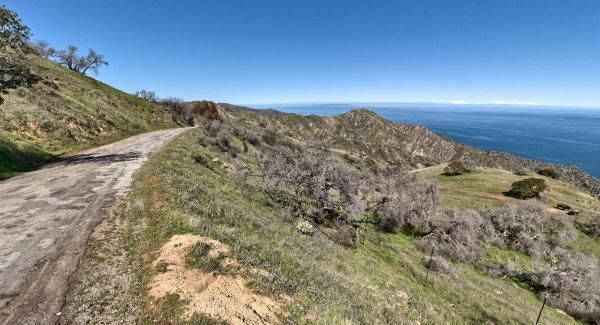 Airport road on Catalina Island