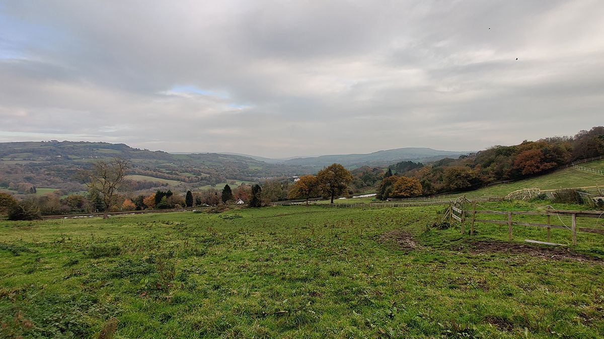 OnePlus 7T Pro camera samples