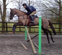 Denman-jump-HMeade.jpg