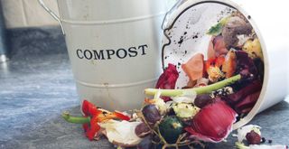 kitchen scraps on a counter next to a compost bin to suggest a sustainable garden idea