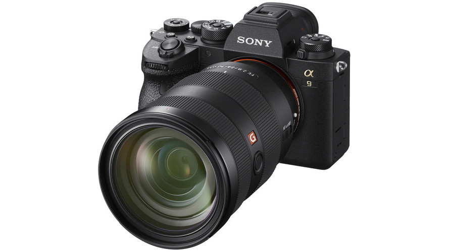 Best camera for wildlife: Sony A9 II