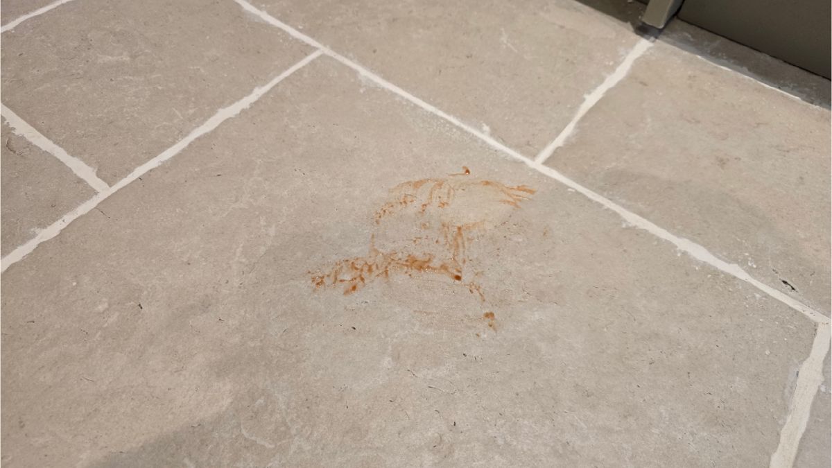 NARWAL FLOW ketchup stain on floor before