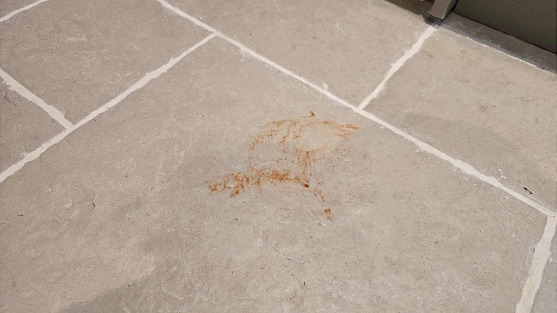 NARWAL FLOW ketchup stain on floor before