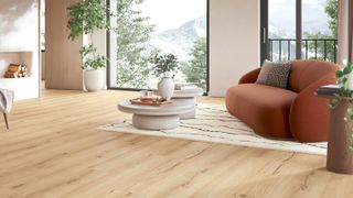 Open plan room with large windows and laminate wood flooring in foreground