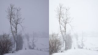 How to fix the “gray snow problem” with Photoshop  PhotoNaturalist -  nature photography tips and tutorials