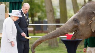 Queen Elizabeth and Prince Philip feed an elephant