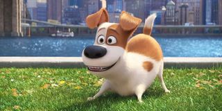 Max in The Secret Life of Pets