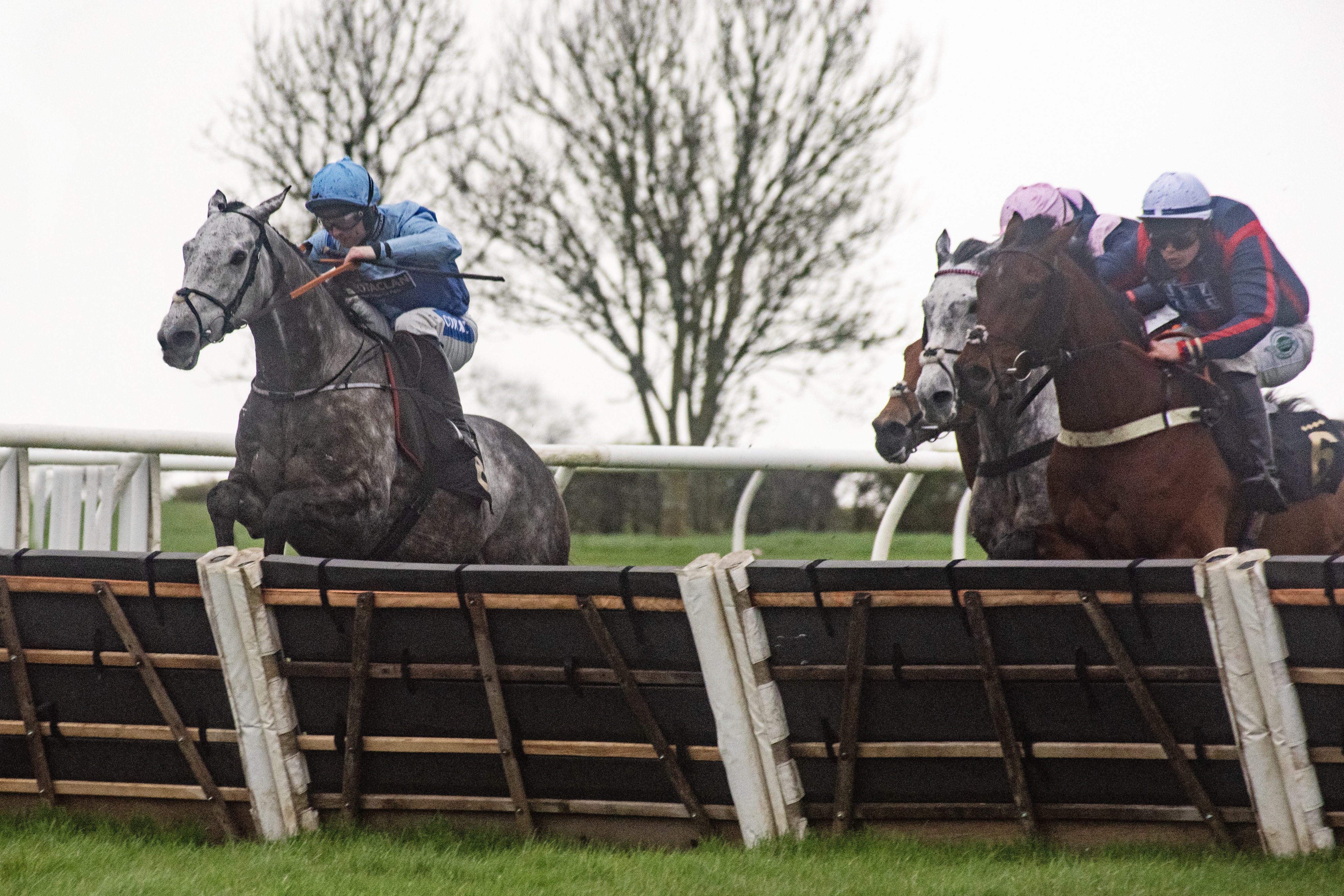 The horses and riders approach the jump, with the leader rising up - keep shooting to get a range of shots.