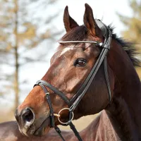 Finesse Zorro Flash Bridle | 30% off at RedpostWas &pound;272.30 Now &pound;389