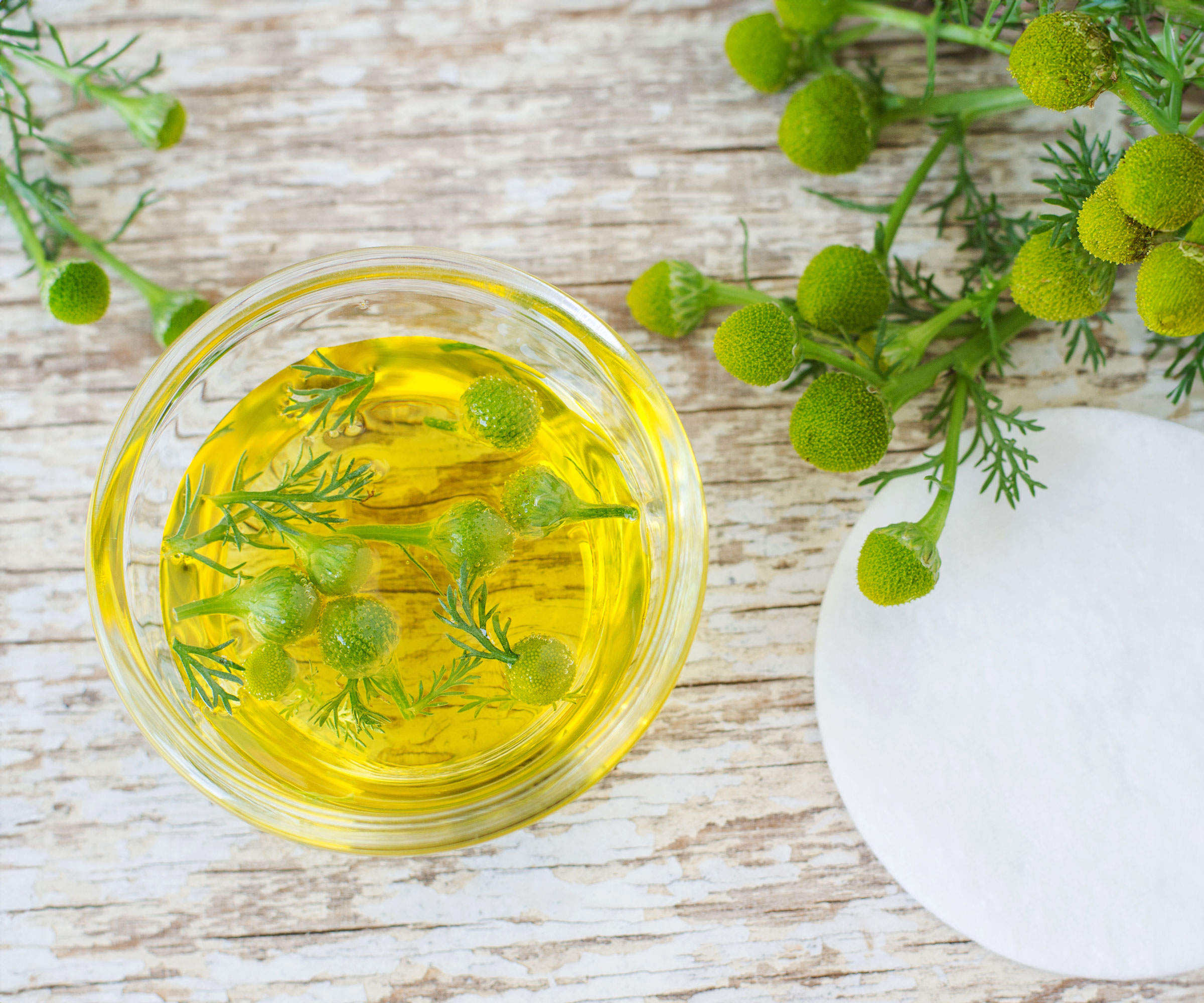 chamomile flowers and glass of oil on table