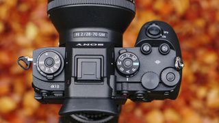 Top plate of Sony A1 II mirrorless camera with autumn leaves background