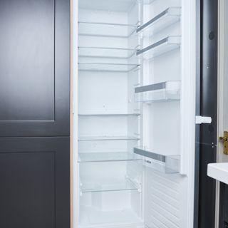 Double fridge-freezer with one door open, revealing an empty fridge