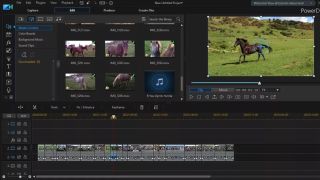 Image shows a video of a black horse being edited in Cyberlink PowerDirector 20, with some of the options in the workspace visible.